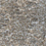 Клинкерная плитка Клинкер ТЕННЕССИ 1Т плитка фасадная, глазурованная, цвет СЕРЫЙ МАТОВЫЙ. Размер 245х65х7мм фото